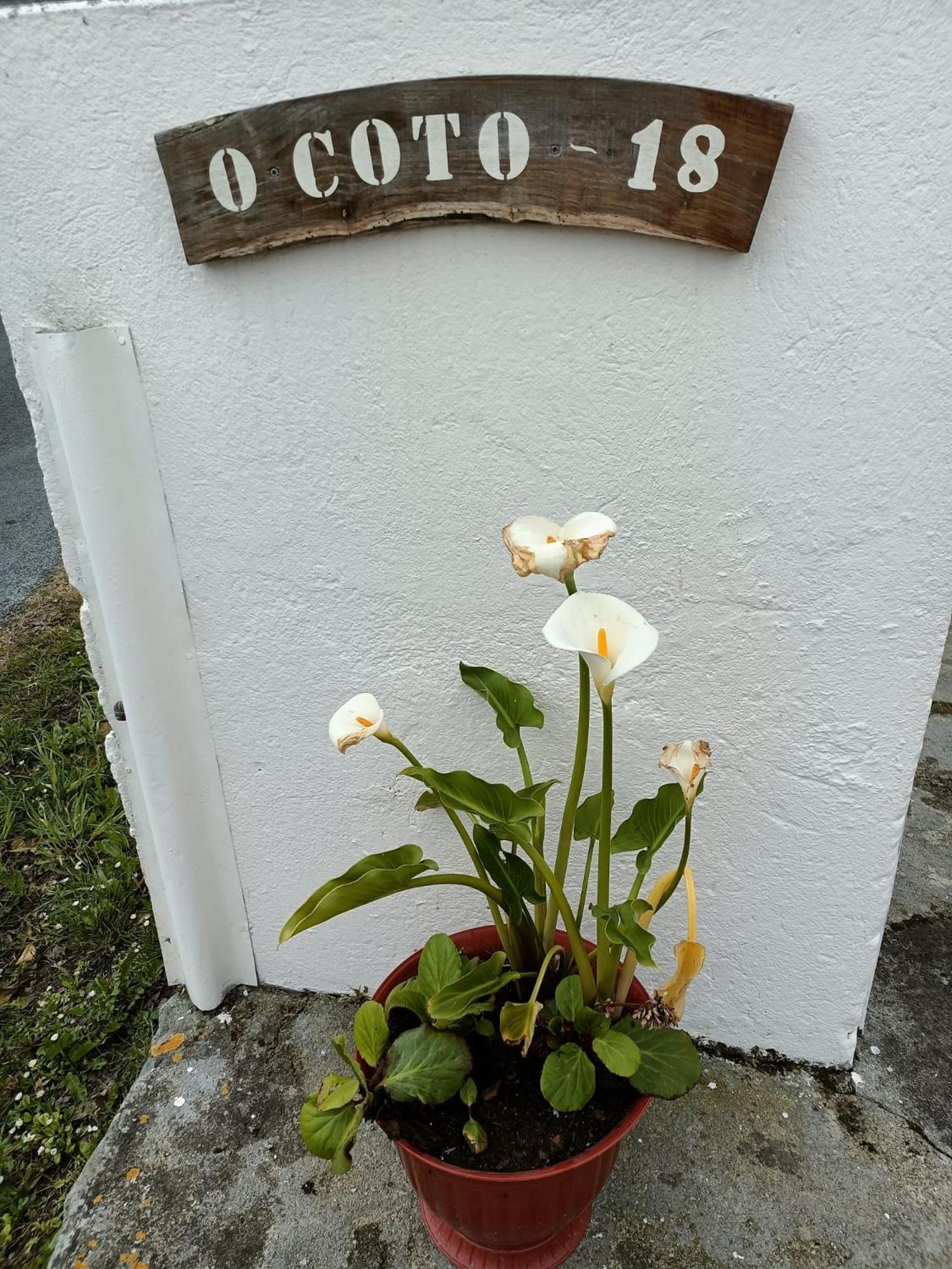Casa Pancha Villa Ribadeo Bagian luar foto